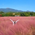 Jeju South Euphoria: UNESCO Sites Full-Day Tour - Waterfalls, coastal paths and seasonal color