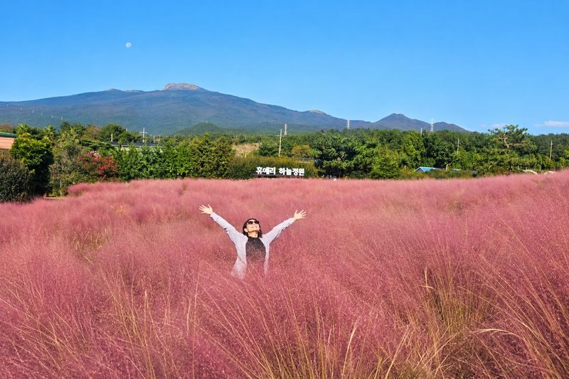 Jeju South Euphoria: UNESCO Sites Full-Day Tour - Waterfalls, coastal paths and seasonal color