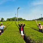 Jeju: UNESCO South & East Highlights 2 Days Combo Tour - Day one: Jeju’s south, waterfalls and mountain scenery
