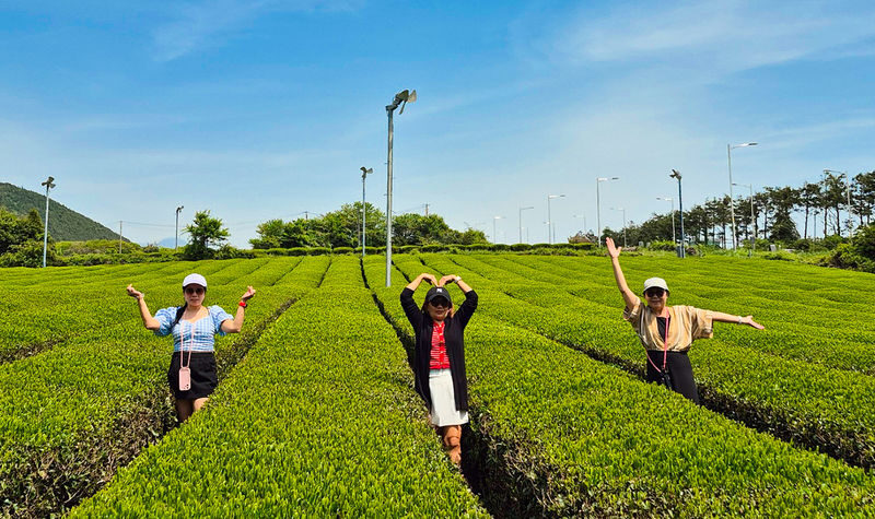 Jeju: UNESCO South & East Highlights 2 Days Combo Tour - Day one: Jeju’s south, waterfalls and mountain scenery