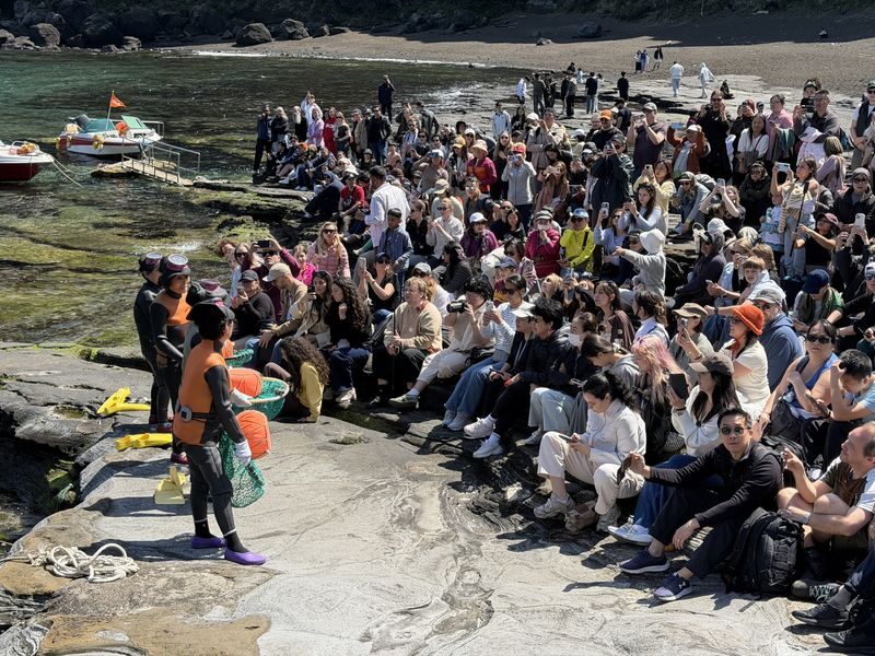 Jeju: UNESCO WestSouth & East Highlights 2 Days Combo Tour - Waterfalls, sea views, and a tea stop