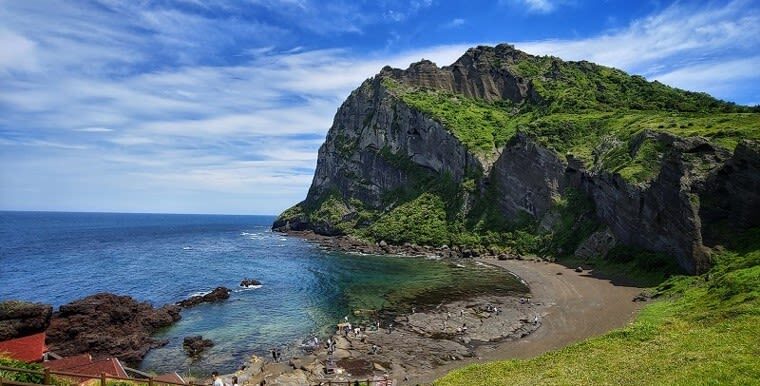 Jeju VIP Private Day Tour (East/West/South/North) - The guide can shape the day