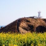 Jeju Your Way: 9/5-Hour Fully Customizable Private Tour - Hyeopjae Beach and a view of Biyangdo