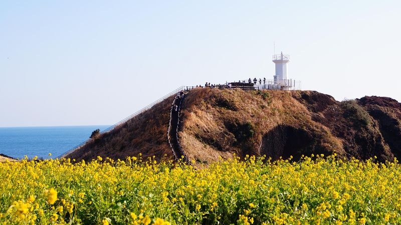 Jeju Your Way: 9/5-Hour Fully Customizable Private Tour - Hyeopjae Beach and a view of Biyangdo