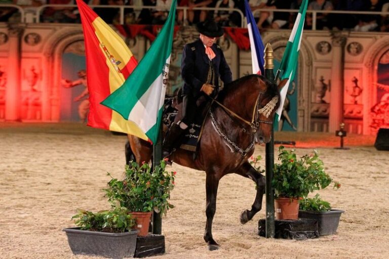 Jerez de la Frontera and Cadiz Day Tour from Seville with Horse Show - Inside a Jerez bodega