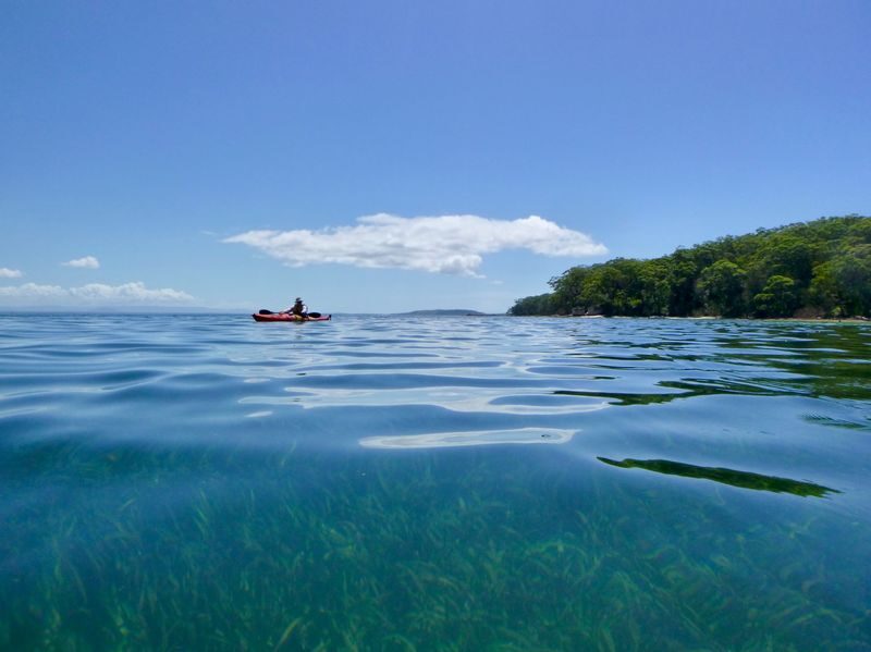 Jervis Bay Half Day Sea Kayak Tour - The first 1.5 hours on Jervis Bay