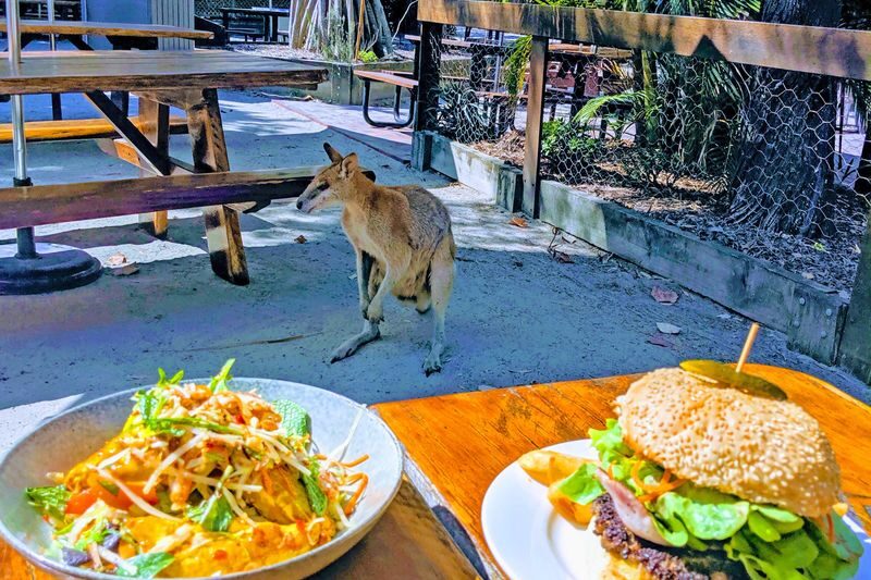 Jet Ski Safari and Island Tour on the Gold Coast - What the 30-minute safari actually includes