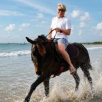 Jimbaran Beach Horse Riding with Optional Uluwatu Temple Tour - Thirty minutes or an hour?
