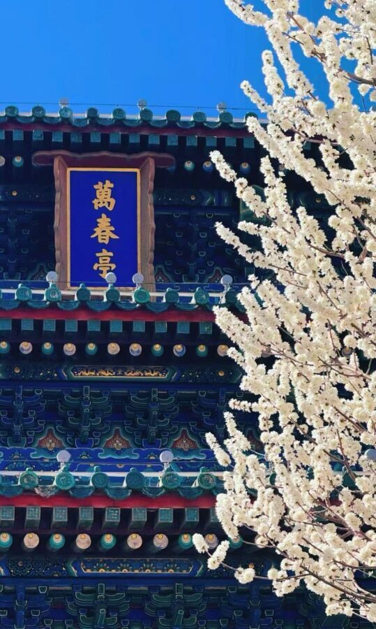 Jingshan Park admission ticket + Electronic Audio Guide (multi-language options available) - From the entrance to Wanchun Pavilion