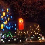 Jinju Namgang Yudeung Festival Tour from Busan - Free time for dinner in Jinju