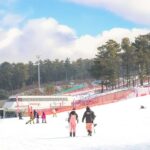 Jisan Ski & Everland Full-Day Winter Experience - Everland after lunch