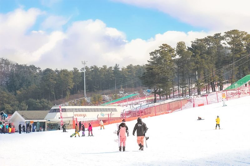 Jisan Ski & Everland Full-Day Winter Experience - Everland after lunch