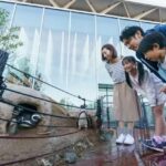 Joetsu City Aquarium Umigatari Admission Ticket (Niigata) - Start at the Sea of Japan Terrace