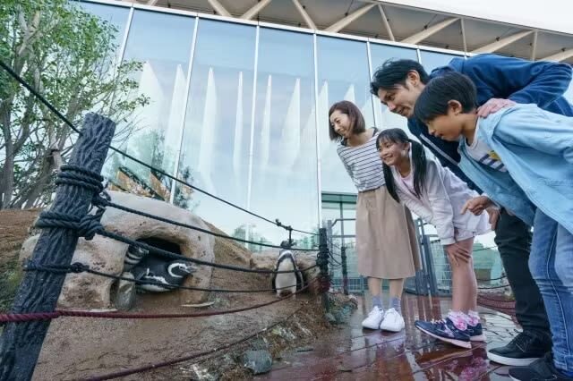 Joetsu City Aquarium Umigatari Admission Ticket (Niigata) - Start at the Sea of Japan Terrace