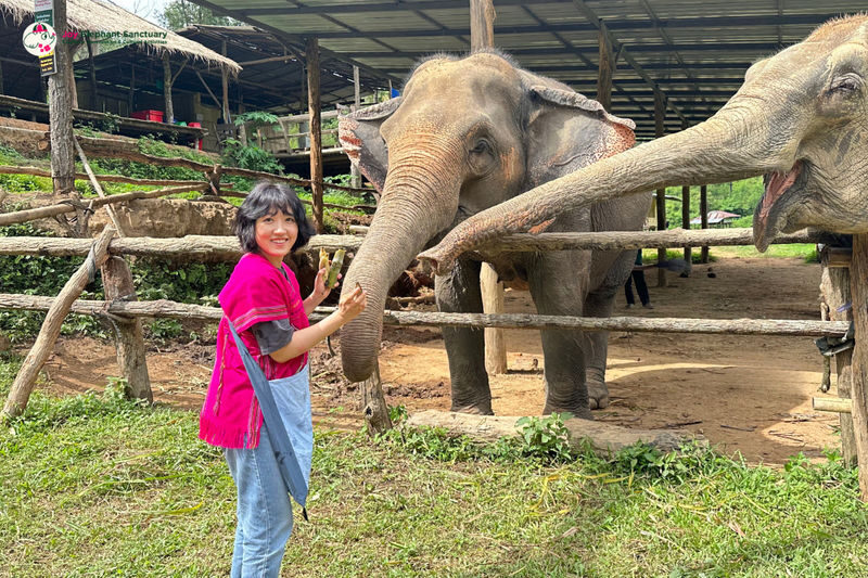 Joy Elephant Sanctuary Chiang Mai Observation and Activity Combo - The morning route from Chiang Mai