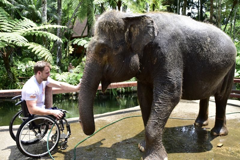 Jumbo Wash Experience at Mason Elephant Park in Bali - At the park: washing, lunch, and time to look around