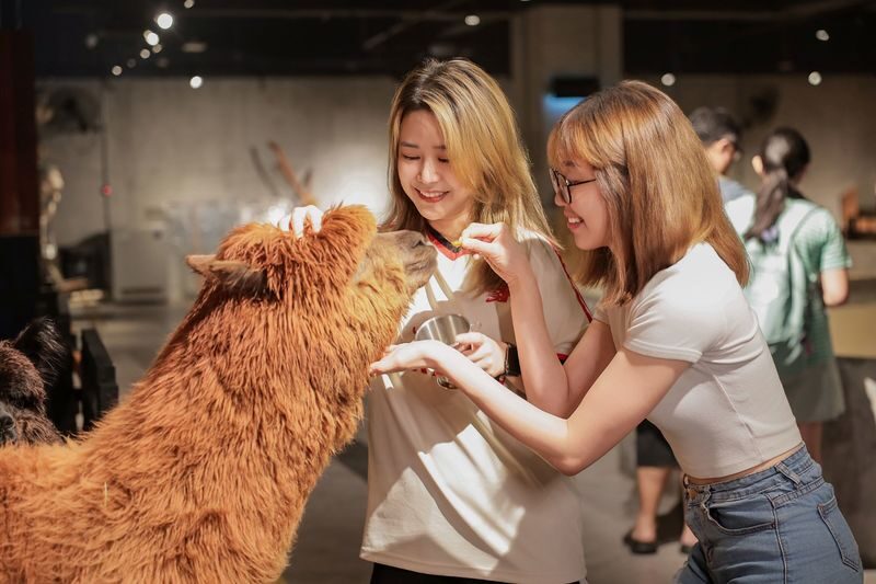 Just Farm by Just Pets Megastore Ticket - Follow staff guidance, not the urge to reach out