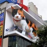 Kabukicho & Shinjuku Golden Gai Half-day Guided & City Highlights Tour - Kabukicho and Golden Gai as a starting point