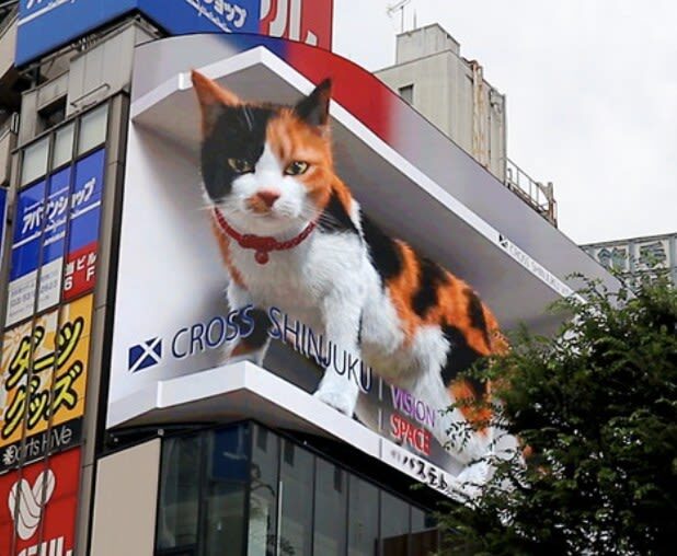 Kabukicho & Shinjuku Golden Gai Half-day Guided & City Highlights Tour - Kabukicho and Golden Gai as a starting point