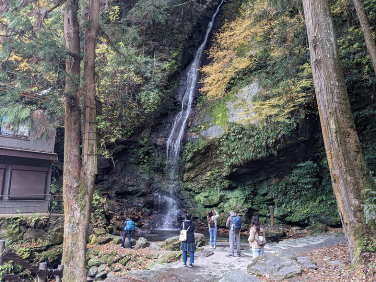 Kagawa/Kotohira Departure/Arrival: Half-Day Bus Tour of Secret Scenery: Oboke Gorge & Kazura Bridge - Iya Kazurabashi: the main event
