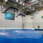 Kagoshima City Aquarium Ticket in Kyushu - Make time for the dolphin show