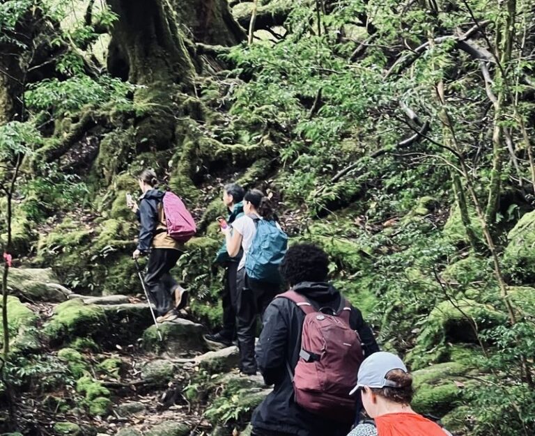 Kagoshima Day Tour: Hike World Heritage Yakushima by Express Jetfoil - A guide meets you at Miyanoura Port