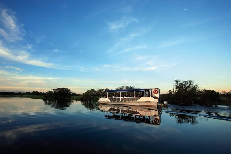 Kakadu in a Day - Yellow Water Billabong, slowly and close to the water