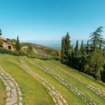 Kakheti and Sighnaghi Full-Day Wine Tasting Tour from Tbilisi - Manavi and Badiauri: a taste of local life