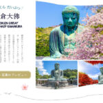 Kamakura Day Trip | Kamakura Great Buddha, Enoden (including train ticket), Shonan Sea View at Kamakura Kokomae Station, Enoshima Walk, Tsurugaoka Hachimangu Shrine (Departure from Tokyo) - The Great Buddha: a powerful first stop