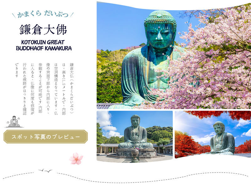 Kamakura Day Trip | Kamakura Great Buddha, Enoden (including train ticket), Shonan Sea View at Kamakura Kokomae Station, Enoshima Walk, Tsurugaoka Hachimangu Shrine (Departure from Tokyo) - The Great Buddha: a powerful first stop