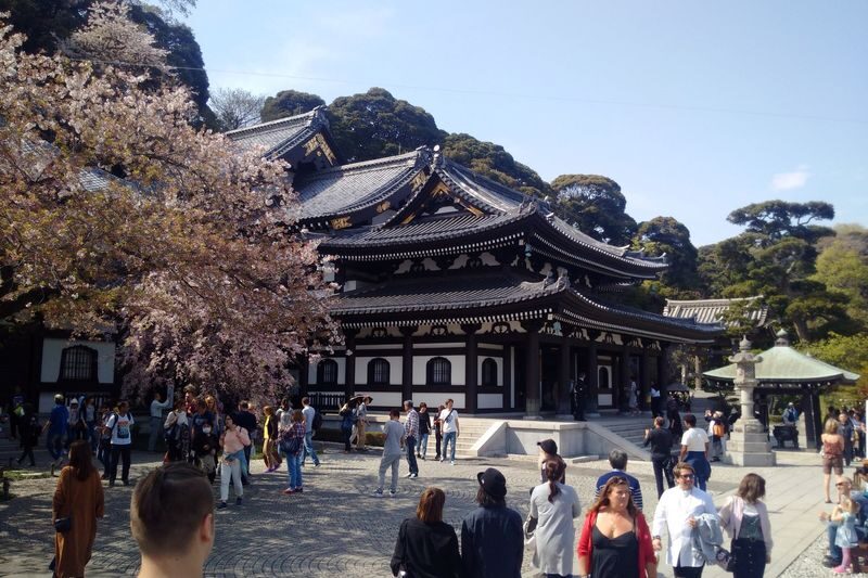 Kamakura & Enoshima Island Full-Day Private Tour - Engaku-ji offers a quieter start