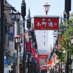 Kamakura Great Buddha & Tsurugaoka Hachimangu Shrine & Enoshima & Kamakura High School One Day Tour | Depart from Tokyo - The morning departure from Tokyo