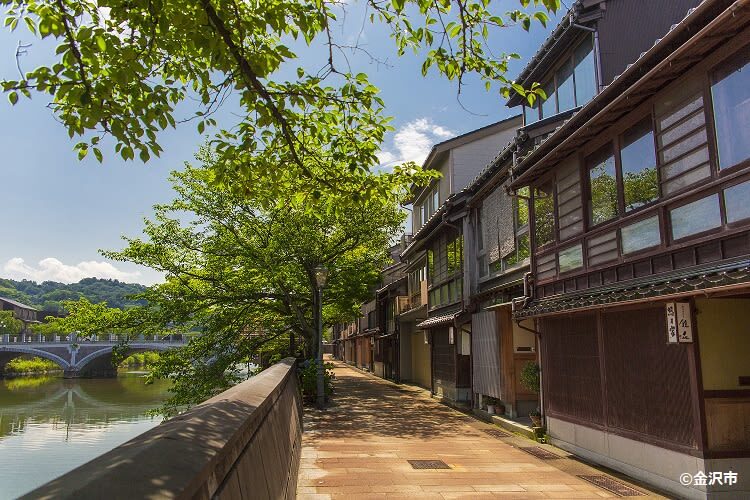 Kanazawa Half Day Historical Photo Spot Walking Tour - Kenroku-en: one hour among garden paths