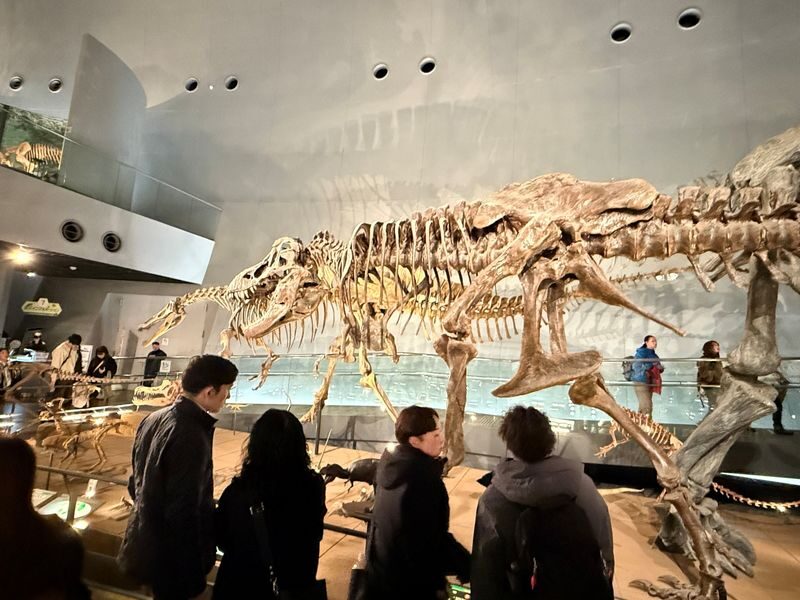 Kanazawa: World-Class Fukui Dinosaur Museum Small Group Tour - The 7:50 Departure: Pick-Up or Tsuzumi Gate