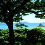 Kaneohe Hakipu u Rainforest Jungle Expedition - From the ranch roads to the lookout