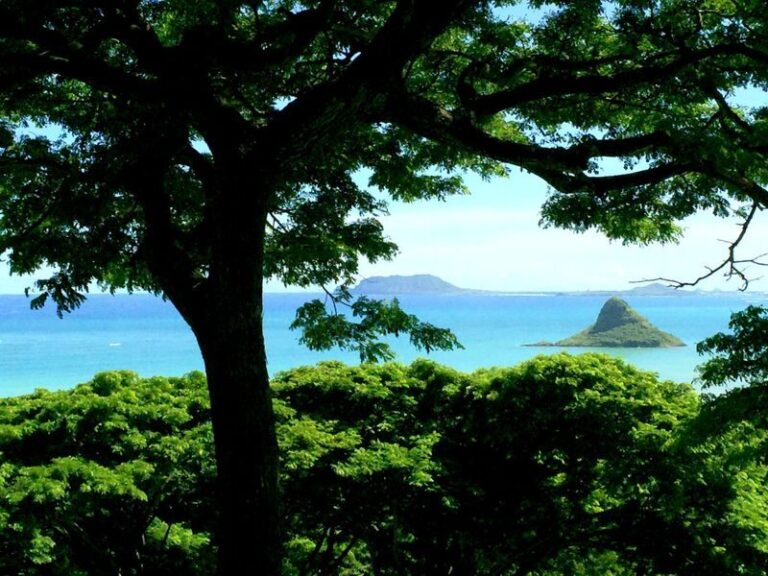Kaneohe Hakipu u Rainforest Jungle Expedition - From the ranch roads to the lookout