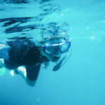 Kangaroo Island Ocean Safari and Snorkeling Experience in Adelaide - Snorkeling With Gear Supplied