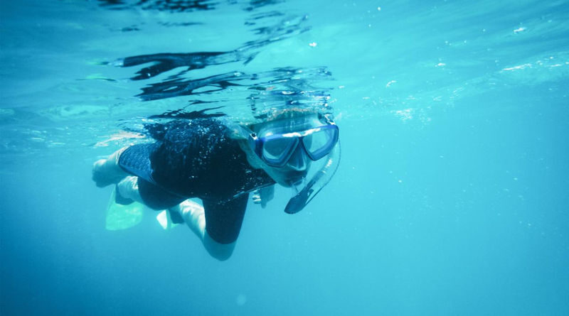 Kangaroo Island Ocean Safari and Snorkeling Experience in Adelaide - Snorkeling With Gear Supplied