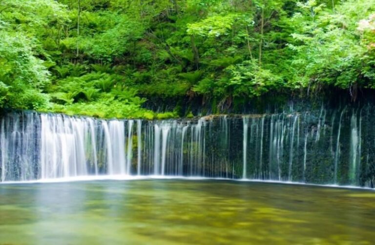 Karuizawa Day Tour | Shiraito Falls-Kumoba Pond-Old Karuizawa Ginza Street-Karuizawa Outlet | Depart from Shinjuku - Shiraito Falls: a short walk to a striking curtain of water