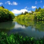 Karuizawa Day Trip: Shiraito Falls + Kumoba Pond + Outlet Shopping (Departing from Tokyo) - Kumoba Pond: the quieter photo stop