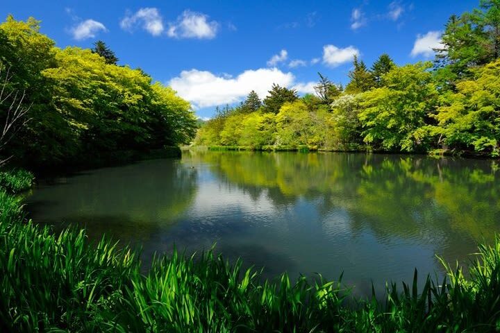 Karuizawa Day Trip: Shiraito Falls + Kumoba Pond + Outlet Shopping (Departing from Tokyo) - Kumoba Pond: the quieter photo stop