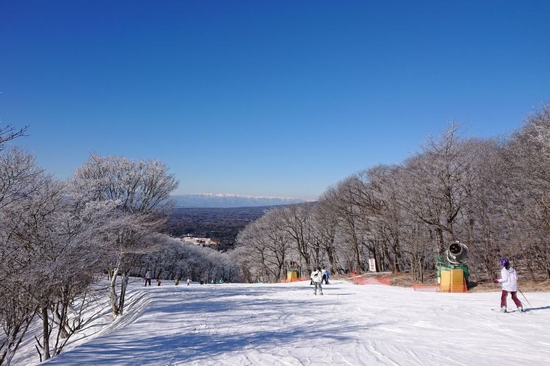 Karuizawa Prince Hotel Ski Lift Ticket - Choosing Runs That Match Your Skiing