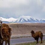 Kashgar Pamir Plateau Full-Day Small Group Tour - The drive is part of the day