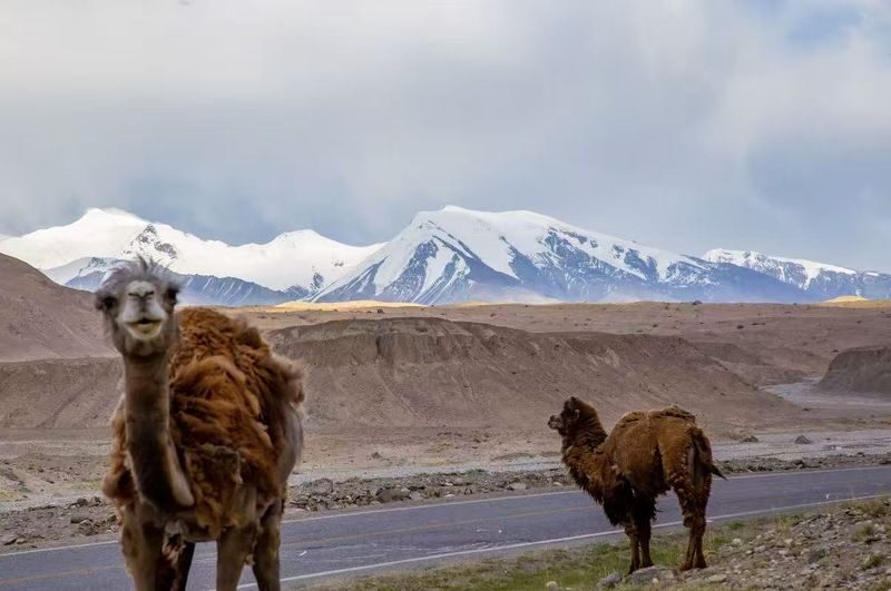 Kashgar Pamir Plateau Full-Day Small Group Tour - The drive is part of the day