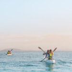 Kayak with Dolphins Experience in Cape Town - A short route with a real ocean feel