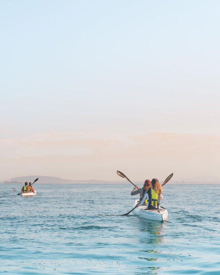 Kayak with Dolphins Experience in Cape Town - A short route with a real ocean feel
