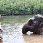 Kayaking Klong Root Viewpoint, Fish Feeding, ATV Ride - A gentle paddle, with a few snags