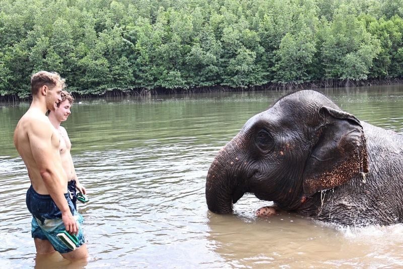 Kayaking Klong Root Viewpoint, Fish Feeding, ATV Ride - A gentle paddle, with a few snags