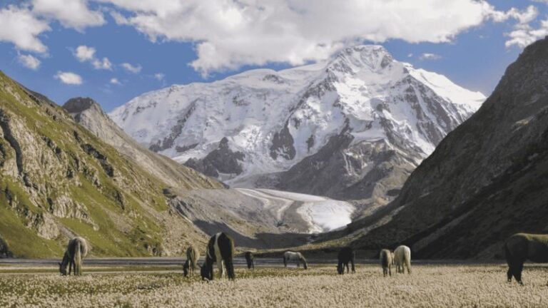 Kazakhstan & Kyrgyzstan Multi-Day Private Nature Discovery - Let the nature focus guide your expectations