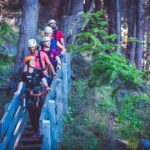 Kea 6-Zipline Experience in Queenstown - Forest paths, gear checks, and six flights